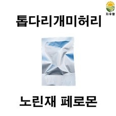 큰광대노린재